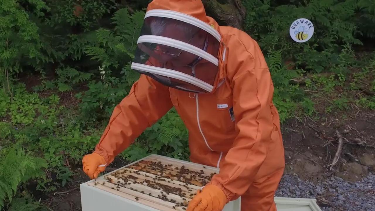 The Bee Pods Villa Rossnowlagh Kültér fotó